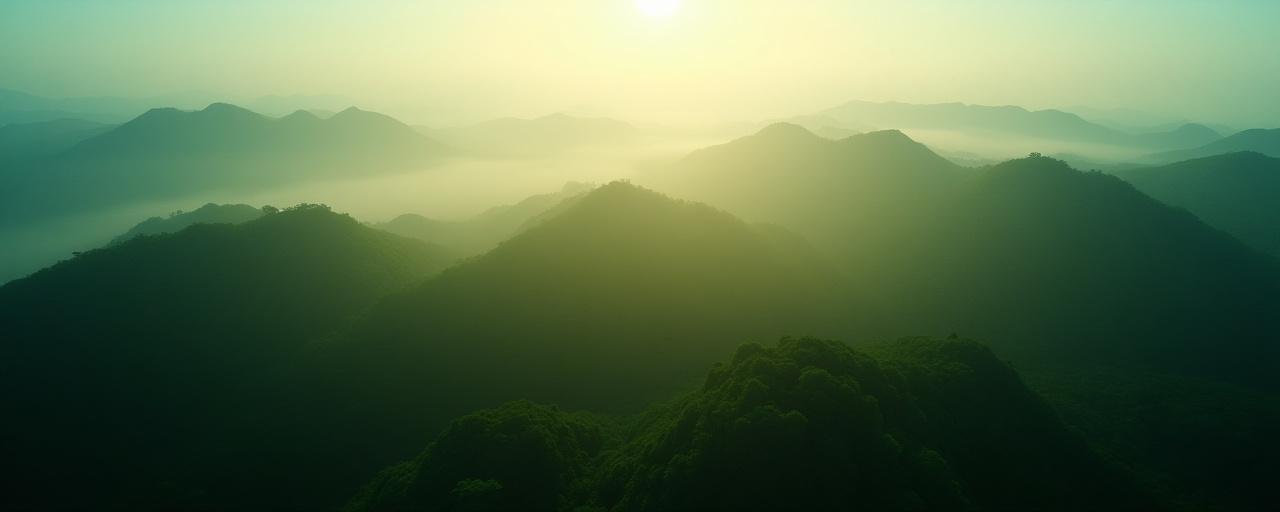 森の奥深く、豊かな緑が広がる日本の森林保護区の空撮。朝日の光が木々の間から差し込み、霧が立ち込める様子が神秘的です。